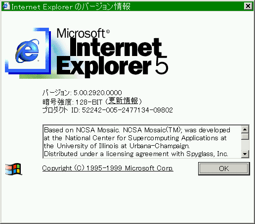 IE5 on Windows2000 with 128bit High Encryption Pack